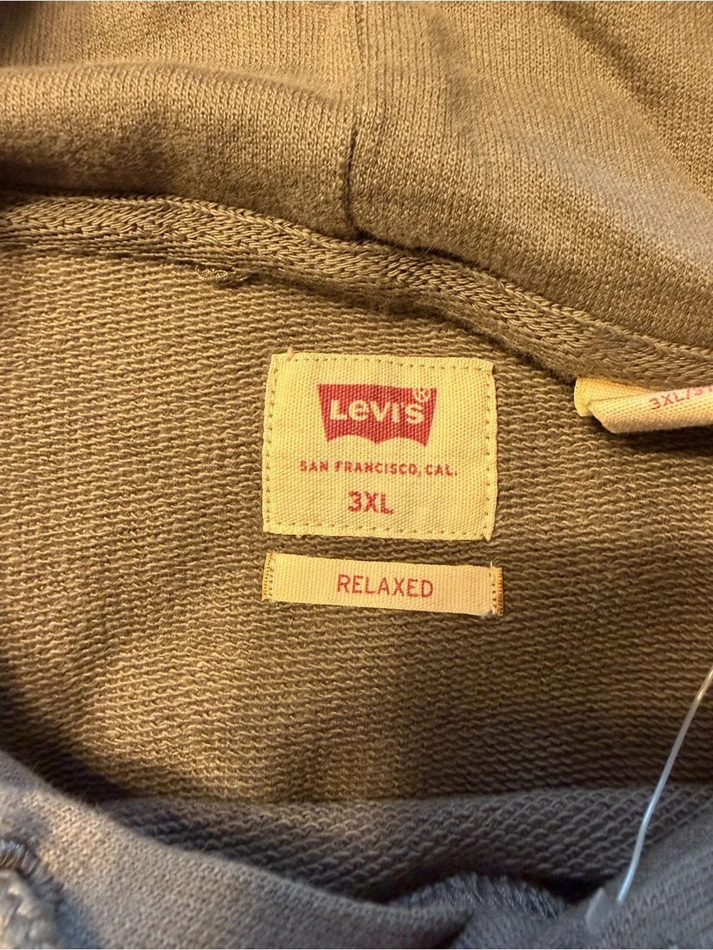 Levi Men's Green Hoodie